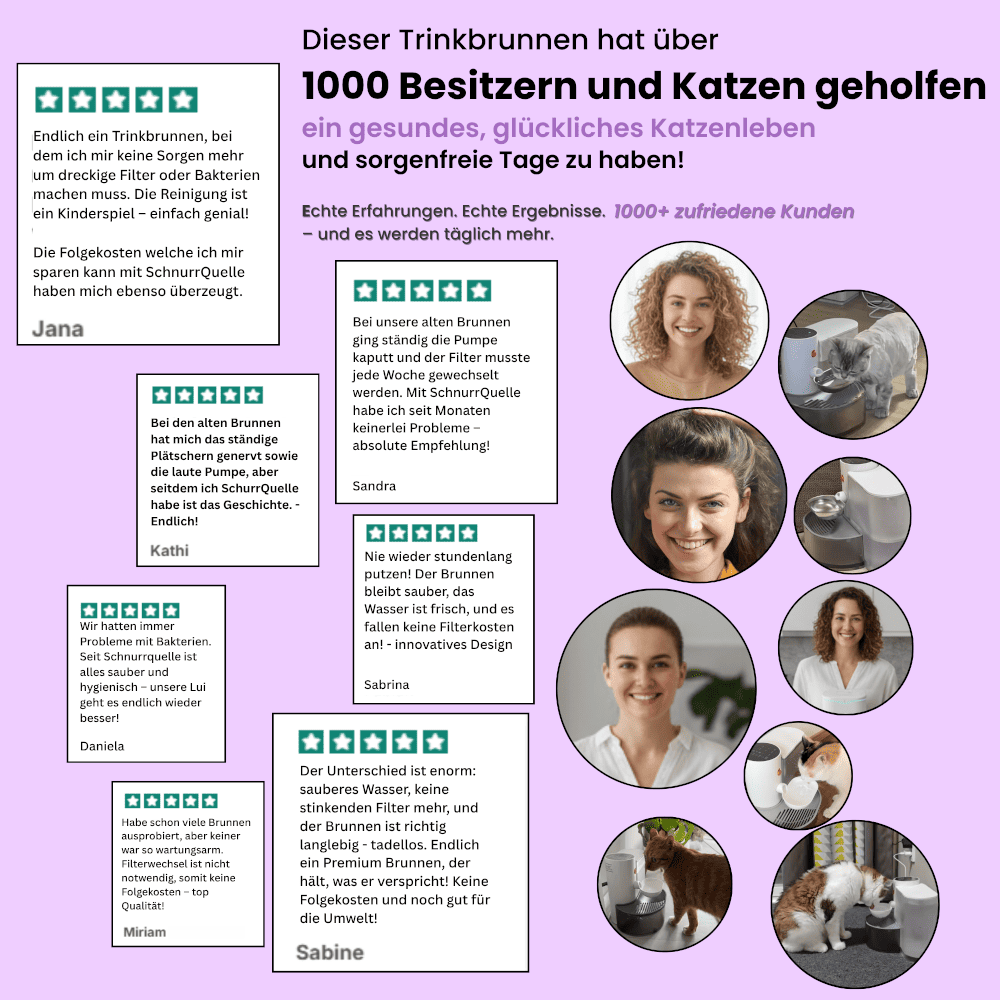 SchnurrQuelle Trinkbrunnen