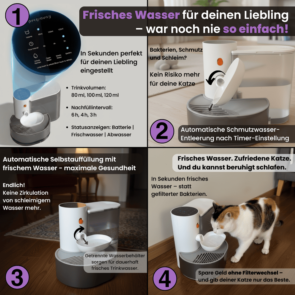 SchnurrQuelle Trinkbrunnen