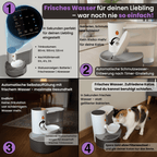 SchnurrQuelle Trinkbrunnen