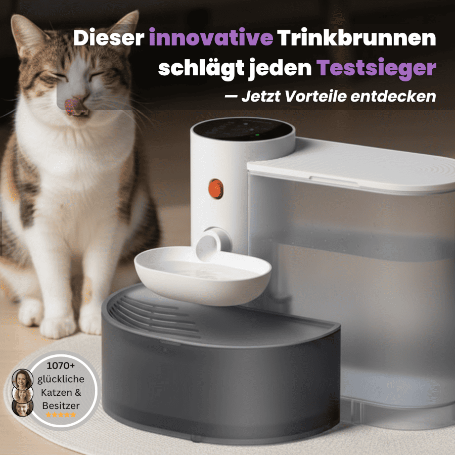 SchnurrQuelle Trinkbrunnen