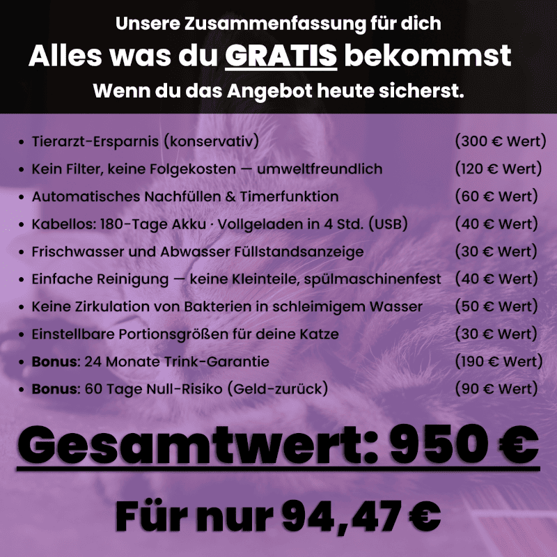 SchnurrQuelle Trinkbrunnen