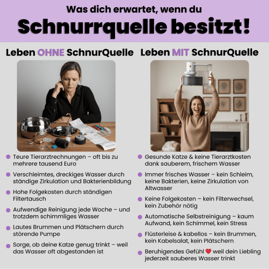 SchnurrQuelle Trinkbrunnen