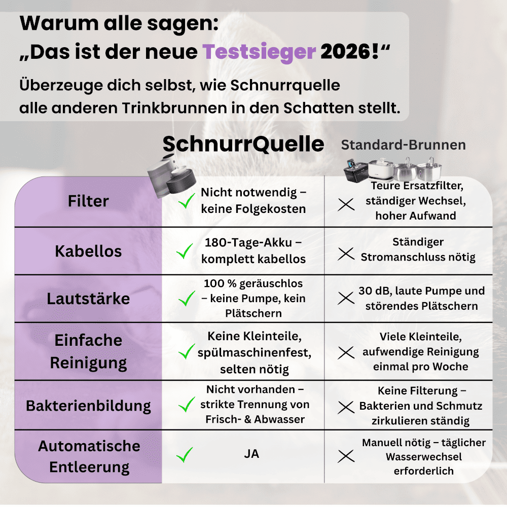 SchnurrQuelle Trinkbrunnen