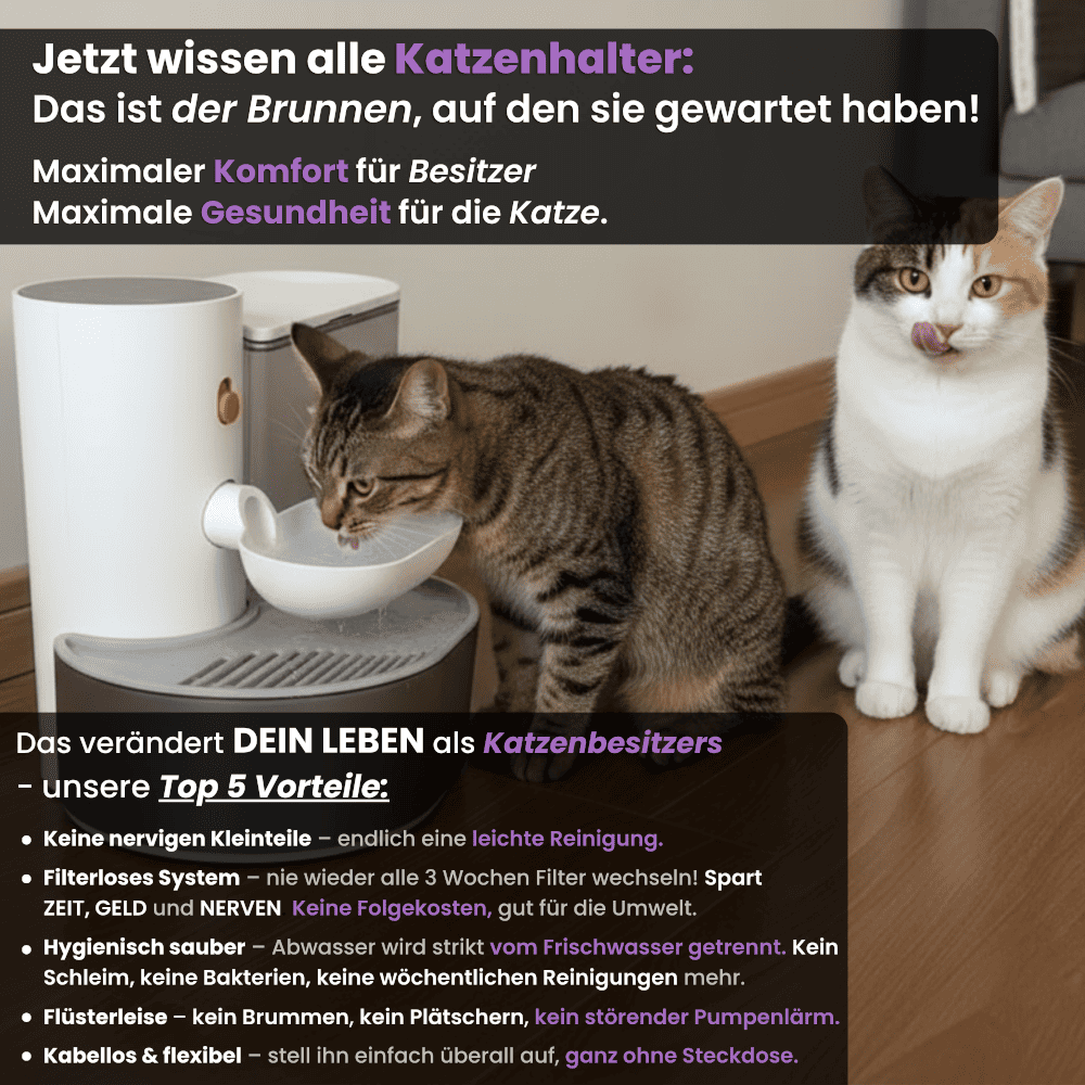 SchnurrQuelle Trinkbrunnen