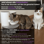 SchnurrQuelle Trinkbrunnen